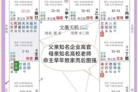 紫薇斗数中的加会是什么意思