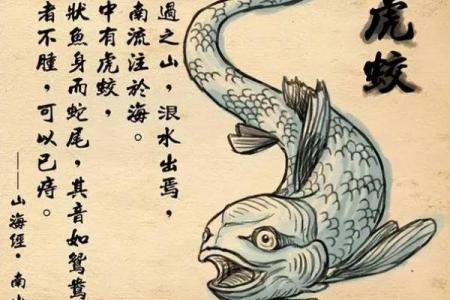 蛟龙风水学