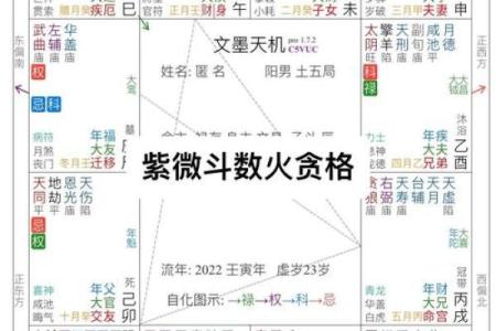 紫薇斗数流年怀孕