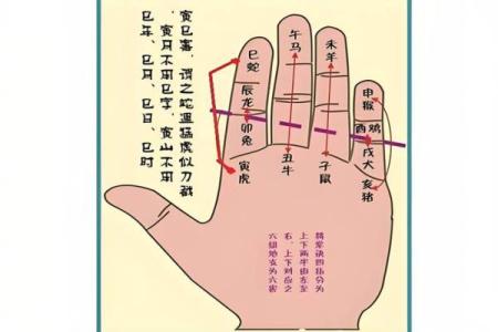 算命的术语,算命专用术语