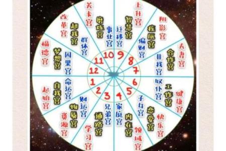 紫薇斗数子午宫