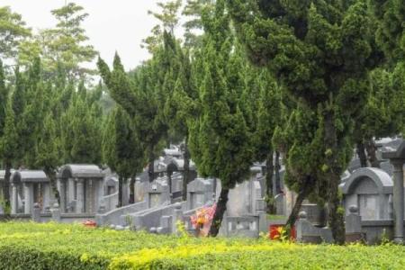 假山墓地风水