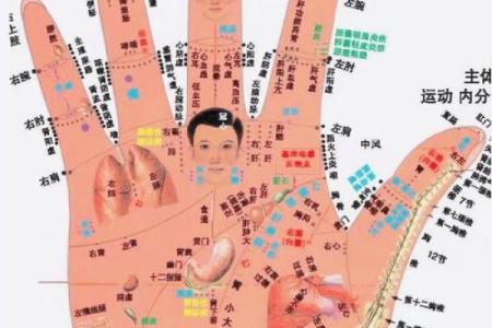 女手相算命图解