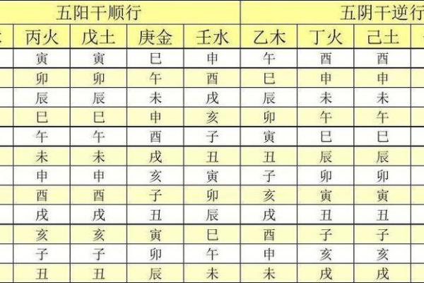 八字地支为亥的女命