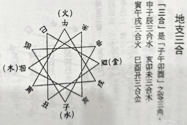 八字地支为亥的女命