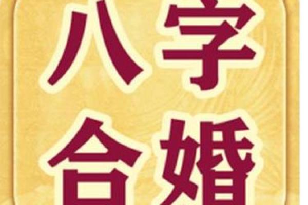 八字合婚精批是什么意思