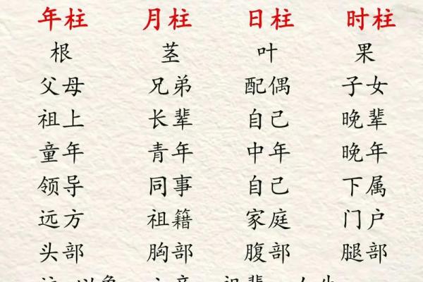 2024年12月4日农历八月二十九出生的孩子八字是什么