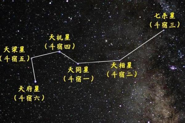 红尘相遇紫薇斗数