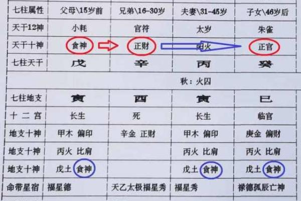 八字十神之“正财”详解