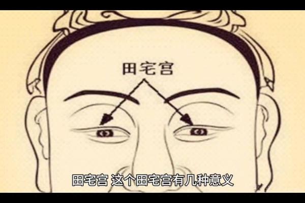 紫微斗数诸星落诸宫之：田宅宫