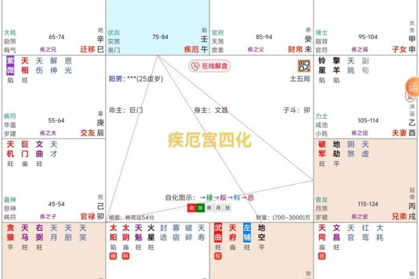 紫薇斗数四化与星组合
