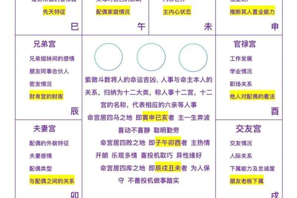 紫薇斗数子女预测