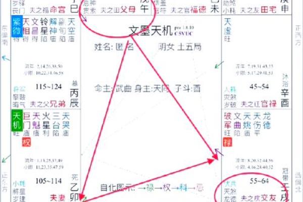 占星盘和紫薇斗数