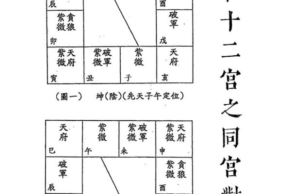 紫薇斗数电子书籍百度网盘
