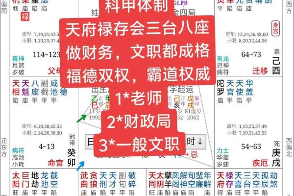 八字收集