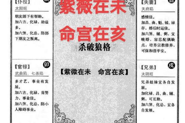 紫薇斗数水宫