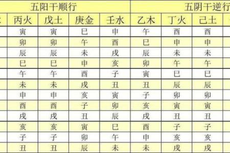 八字地支为亥的女命