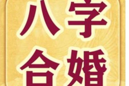 八字合婚精批是什么意思