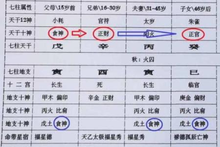 八字十神之“正财”详解