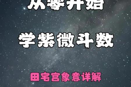 紫薇斗数相貌宫在哪
