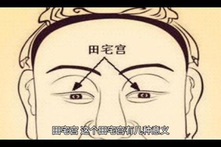 紫微斗数诸星落诸宫之：田宅宫