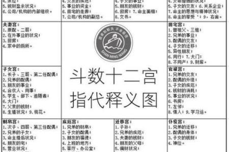 广州看紫薇斗数