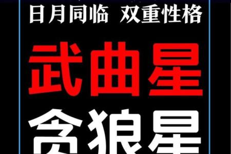 紫薇斗数紫薇贪狼在酉