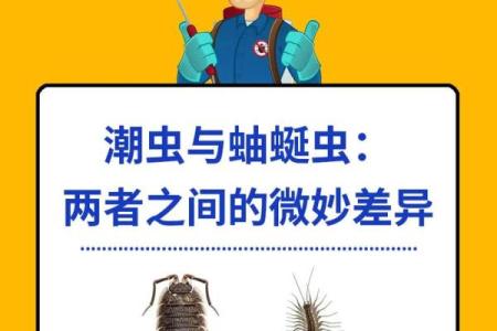 家里风水_家里突然出现多个潮虫是什么征兆