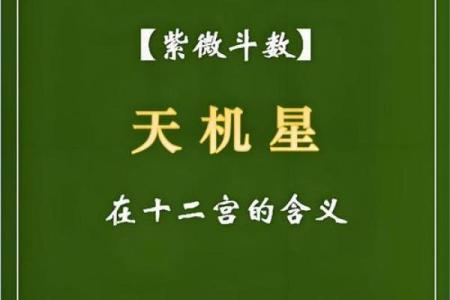 紫微斗数诸星落诸宫之：天机星迁移宫详解