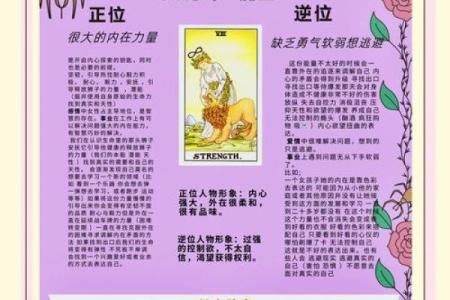 塔罗牌测试八月你的健康运