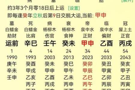 八字排盘算命破解版