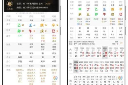 在线八字排查工具：免费测算你的八字命盘