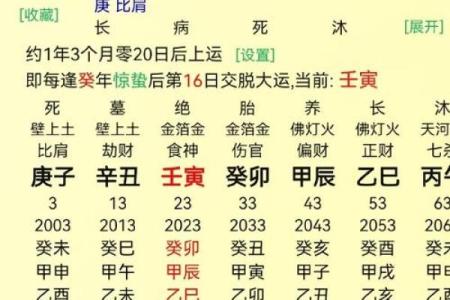 中午点到点算命