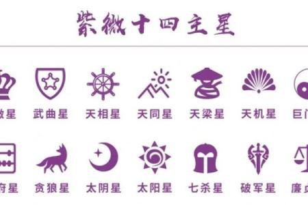 如何定紫薇星天府星