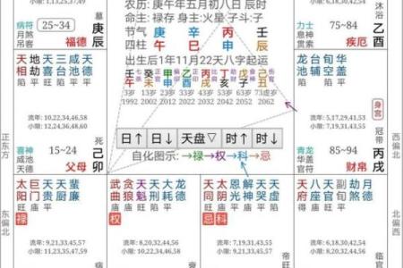 倪海厦天纪紫薇斗数排盘