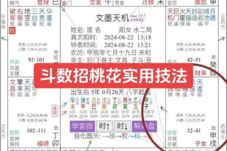 紫微斗数看进财迹象 紫微斗数看财源？