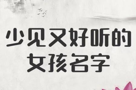 查名字官网,姓名测试打分重名查询