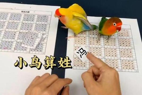 算命抽签中吉凶怎么看出来