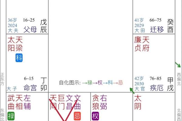 紫微斗数四化飞星在线排盘 紫薇斗数四化飞星？