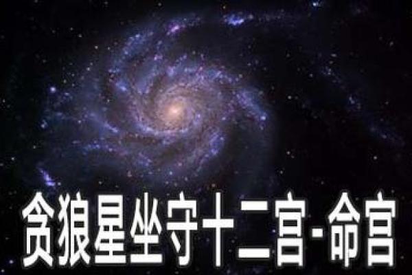 看紫薇斗数贪狼