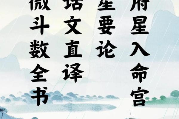 紫薇斗数进阶书
