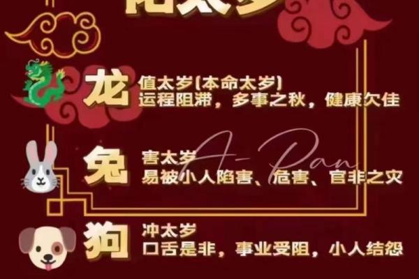 算命偏财是什么意思