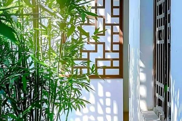 房子旁边竹子风水
