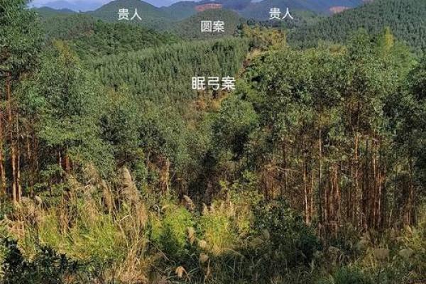 怎样看墓地风水