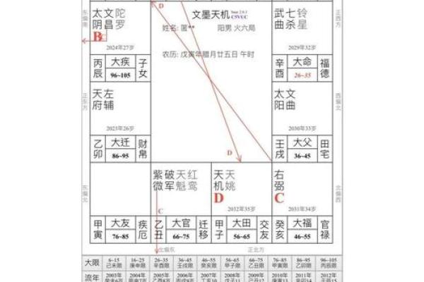 预测包括紫薇斗数
