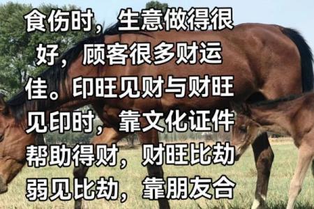命理中无财如何用风水改善财运