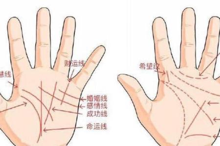 八字看婚姻线和命运线图解