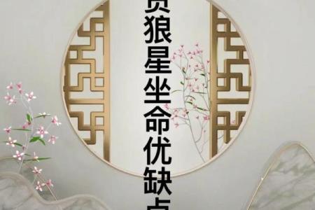 看紫薇斗数贪狼