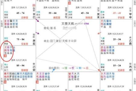紫微斗数之兄弟宫与诸星，紫微星在兄弟宫是什么意思？