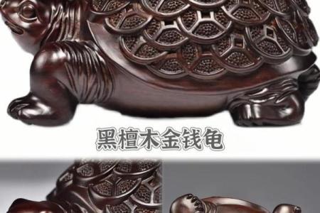 风水乌龟壳的功效与作用